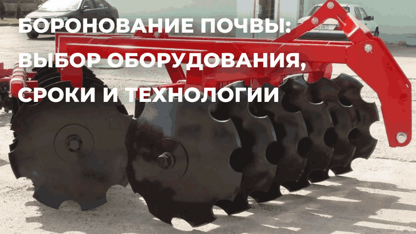 Боронование почвы: выбор оборудования, сроки и технологии 